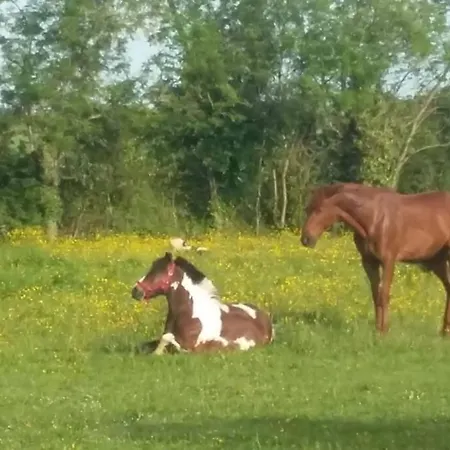 L'atelier, Dépendance De Charme, Ste Mère église Сasa de vacaciones Sainte-Mère-Église