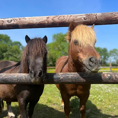 Tatil Evi L'atelier, Dependance De Charme, Ste Mere Eglise *