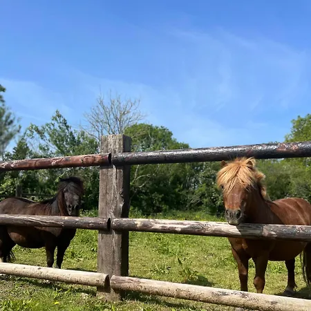 L'atelier, Dependance De Charme, Ste Mere Eglise Tatil Evi