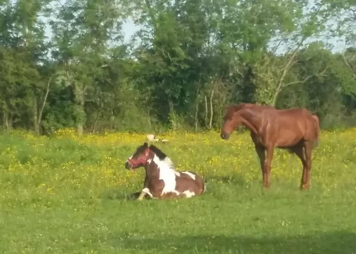 L'atelier, Dependance De Charme, Ste Mere Eglise Vakantiehuis Sainte-Mère-Église