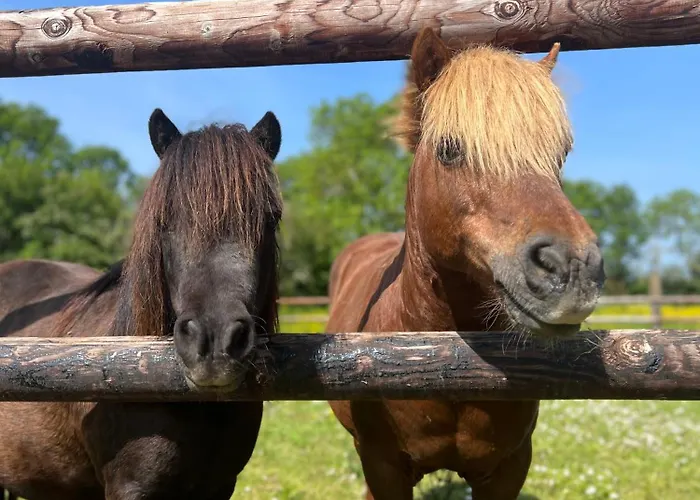 بيت للعطل L'atelier, Dependance De Charme, Ste Mere Eglise *