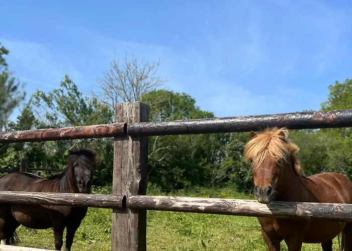 L'atelier, Dependance De Charme, Ste Mere Eglise Tatil Evi